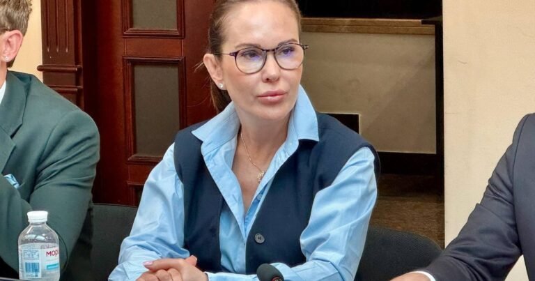 Ексзаступниця голови Офісу Президента Ірина Мудра у центрі скандалу щодо прослуховування та справи "Форест Гамп".