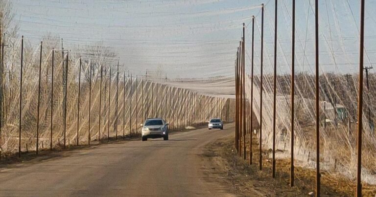 Український уряд виділив мільярди на протидроновий захист доріг, що викликає питання на тлі ударів по логістиці та АЗС.