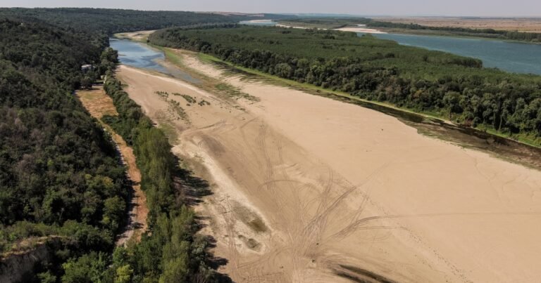 Польща та Румунія блокують транзит українського зерна, пріоритет — власні фермери.