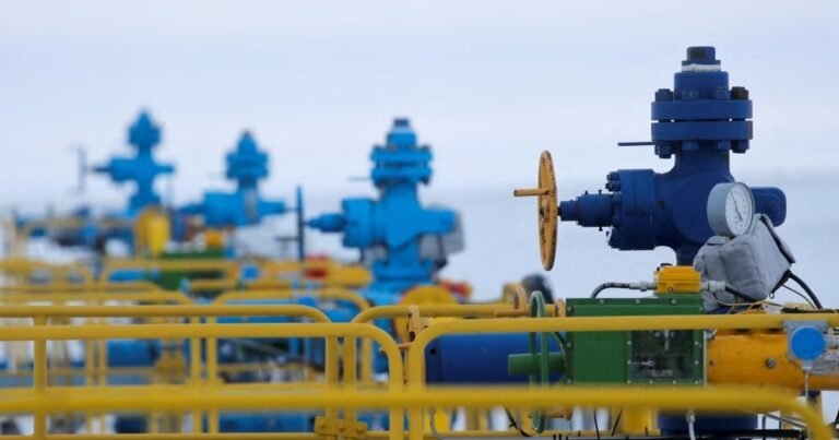 Урсула фон дер Ляєн звітує про скорочення імпорту російського газу до ЄС.